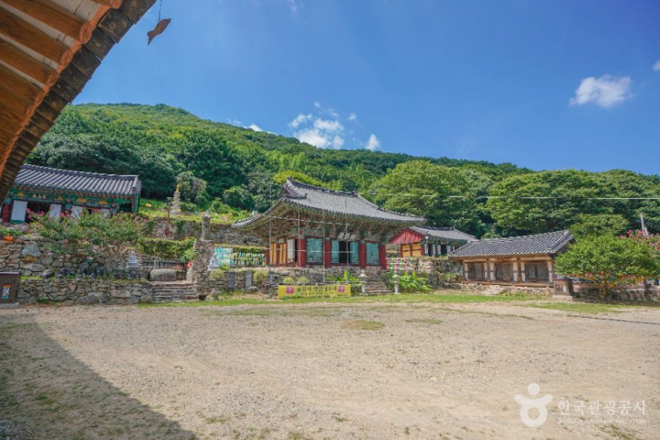 금탑사(고흥) 여행 추천 - 메고지고