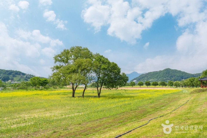 당남리섬 여행 추천 - 메고지고