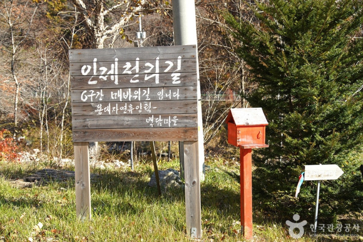 국립 용대자연휴양림 여행 추천 - 메고지고