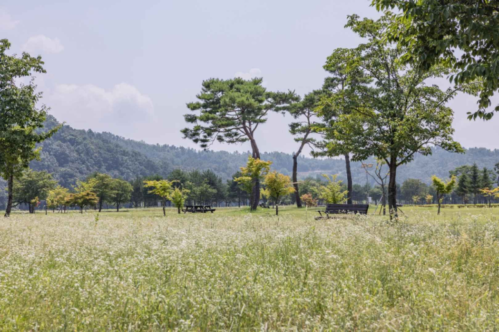 경천섬(경천섬공원) 여행 추천 - 메고지고