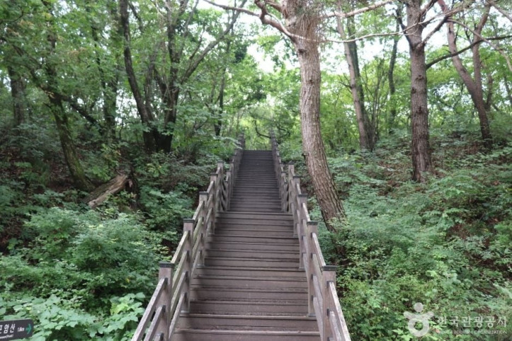 포암산(충주) 여행 추천 - 메고지고