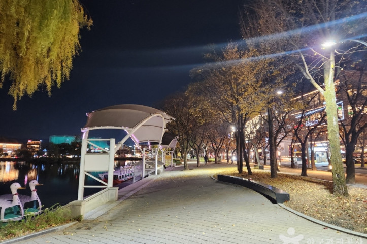 수성못 유원지 여행 추천 - 메고지고