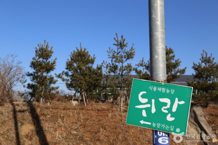 치유농장 뒤란 여행 추천 - 메고지고
