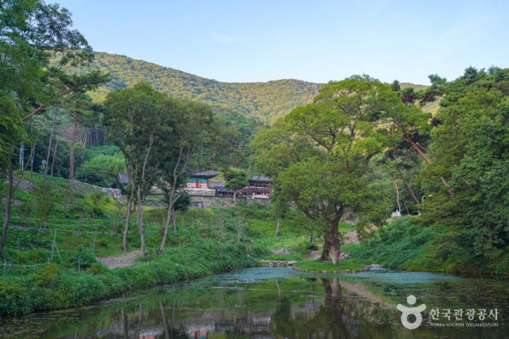 청곡사(진주) 여행 추천 - 메고지고