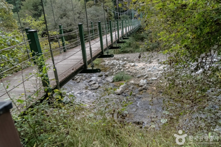 공작산생태숲 여행 추천 - 메고지고