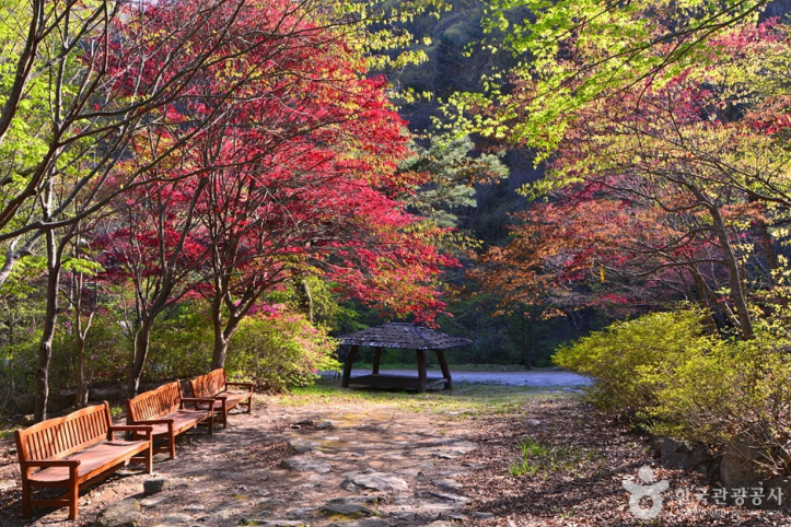 가마골계곡 여행 추천 - 메고지고