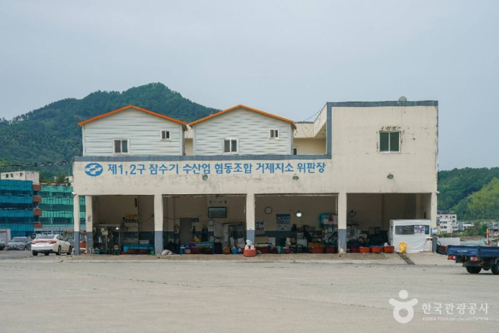 장목항 여행 추천 - 메고지고