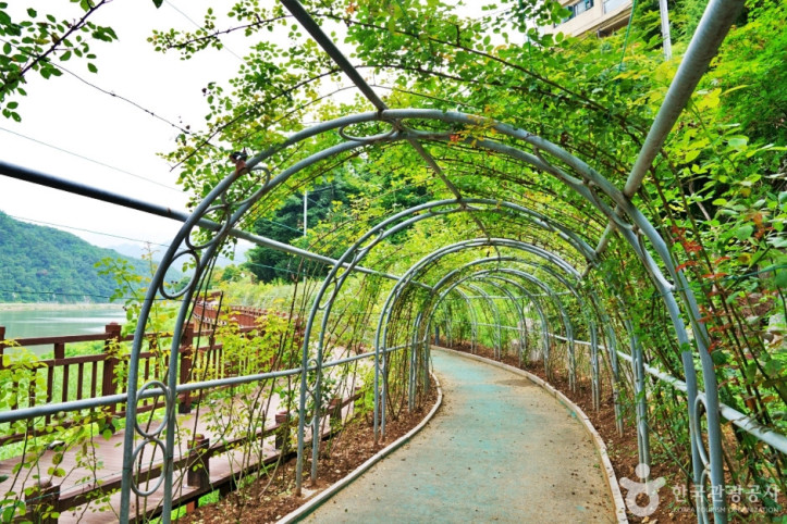 단양 상상의 거리 여행 추천 - 메고지고