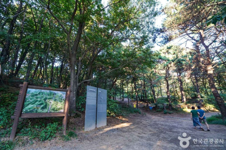 교하동 고인돌 산림욕장 여행 추천 - 메고지고