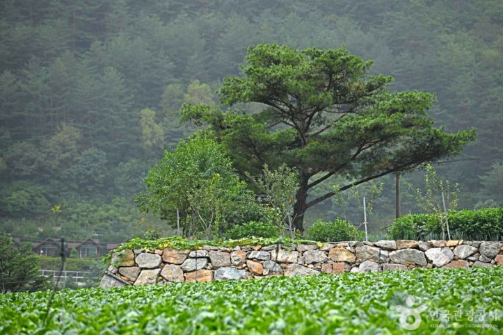 평창 수항리사지 여행 추천 - 메고지고