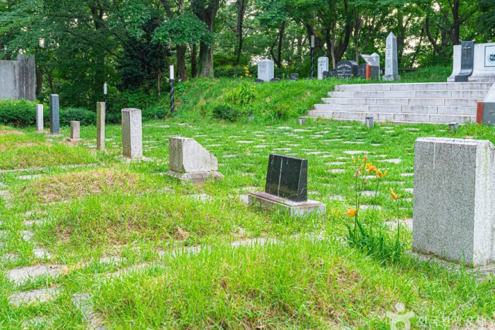 양림동 선교사 묘지 여행 추천 - 메고지고