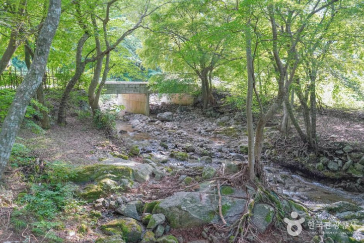용흥사계곡 여행 추천 - 메고지고