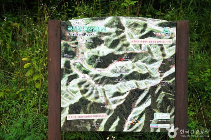 국지산 여행 추천 - 메고지고