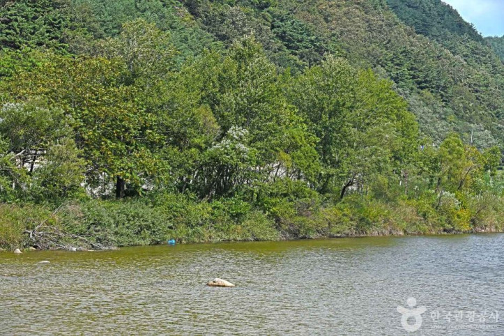 구만동계곡 여행 추천 - 메고지고
