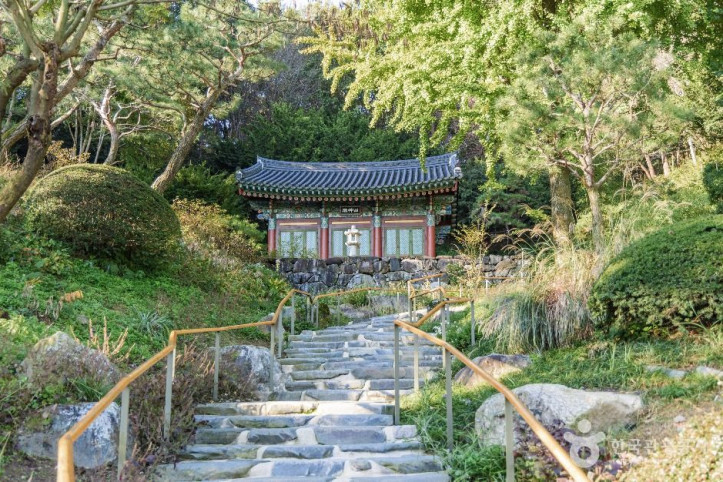 광명선원 여행 추천 - 메고지고