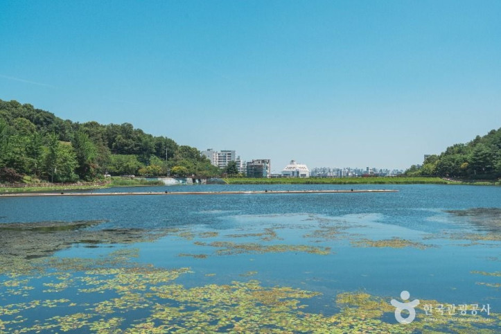 설봉저수지 여행 추천 - 메고지고