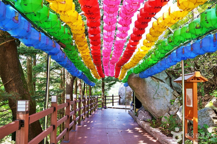 연미사(안동) 여행 추천 - 메고지고