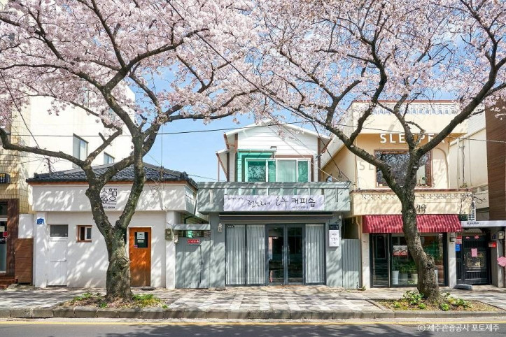 전농로 벚꽃거리 여행 추천 - 메고지고