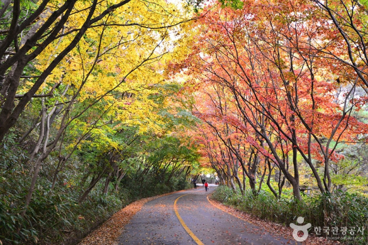 원효사(광주) 여행 추천 - 메고지고