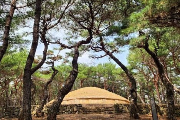 금곡사(경주) 여행 추천 - 메고지고
