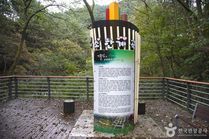 삼척 초당굴 여행 추천 - 메고지고