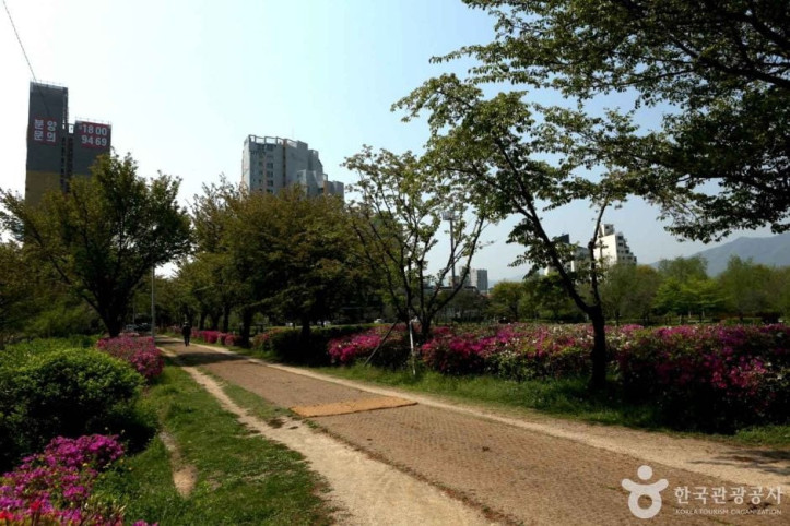 수풀로 양수리 여행 추천 - 메고지고