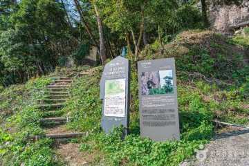 꽃객프로젝트 여행 추천 - 메고지고
