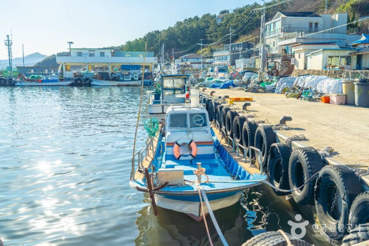 울진항 여행 추천 - 메고지고