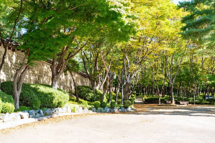 율곡로 여행 추천 - 메고지고