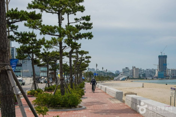 송도해변(포항) 여행 추천 - 메고지고