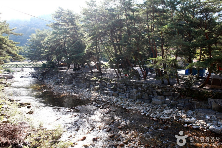 법흥계곡 여행 추천 - 메고지고