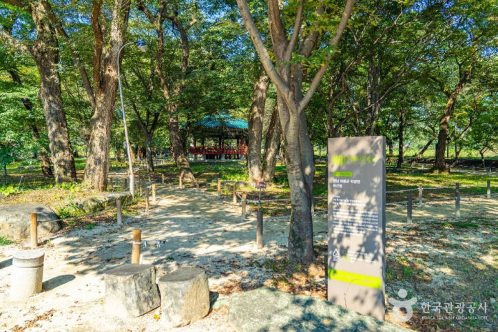 악양 취간림 여행 추천 - 메고지고