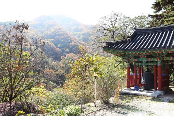 덕유산국립공원(남덕유분소) 여행 추천 - 메고지고
