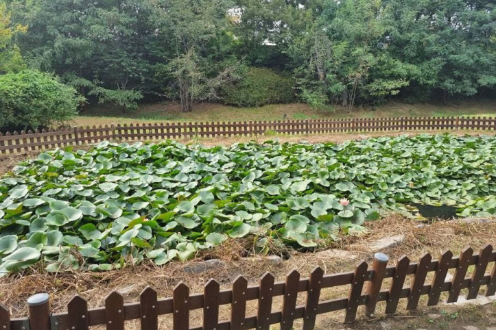 단원조각공원 여행 추천 - 메고지고