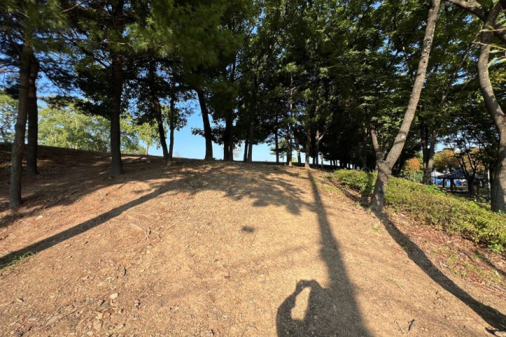 경산 임당동과 조영동 고분군 여행 추천 - 메고지고
