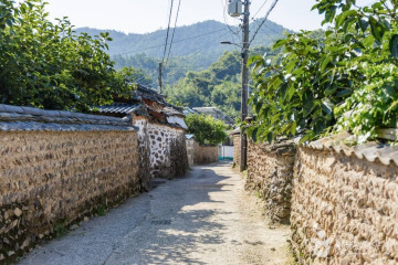 강진 삼인리 비자나무 여행 추천 - 메고지고