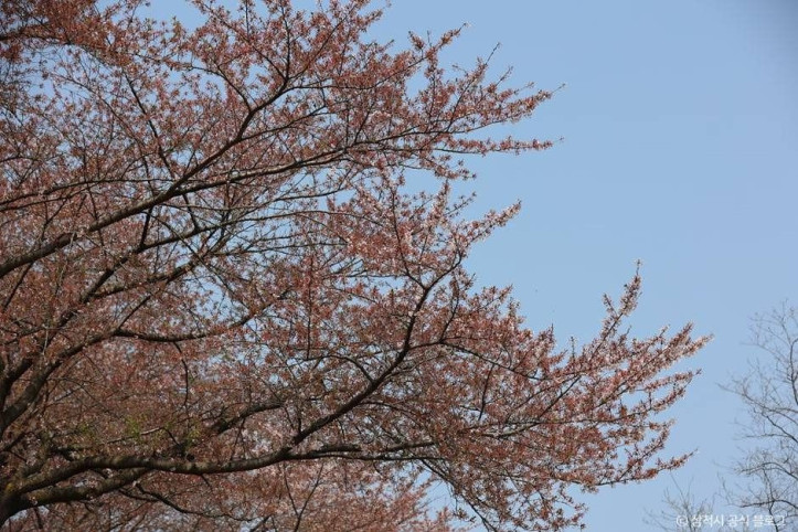 봉황산산림욕장 여행 추천 - 메고지고