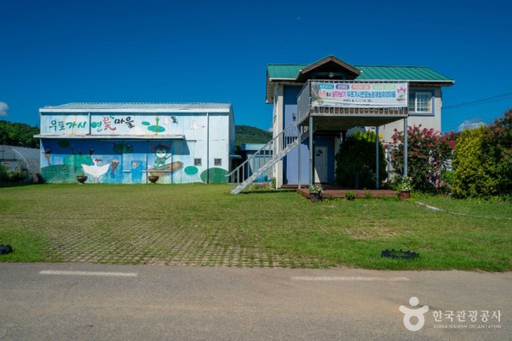 우포가시연꽃마을 여행 추천 - 메고지고