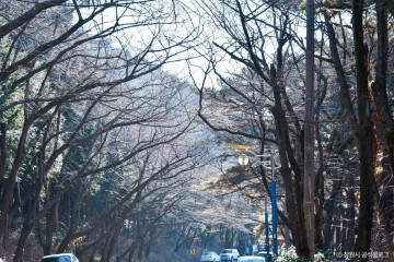 삼밀사 여행 추천 - 메고지고