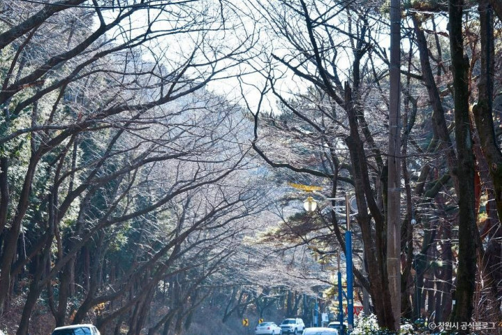 창원 편백 치유의 숲 여행 추천 - 메고지고