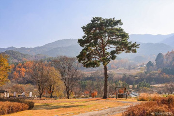 축서사(봉화) 여행 추천 - 메고지고