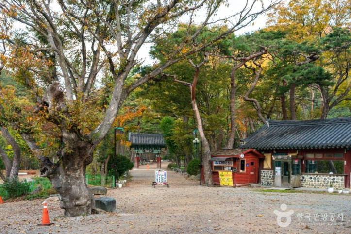 보경사 여행 추천 - 메고지고