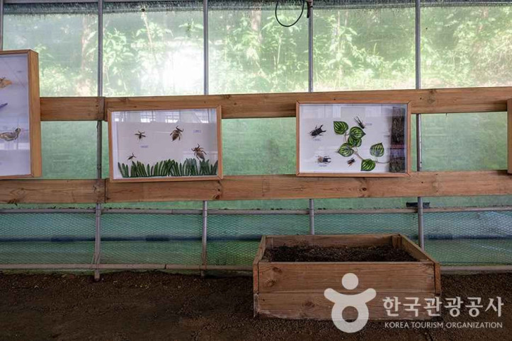 찬우물 체험동물농장 여행 추천 - 메고지고