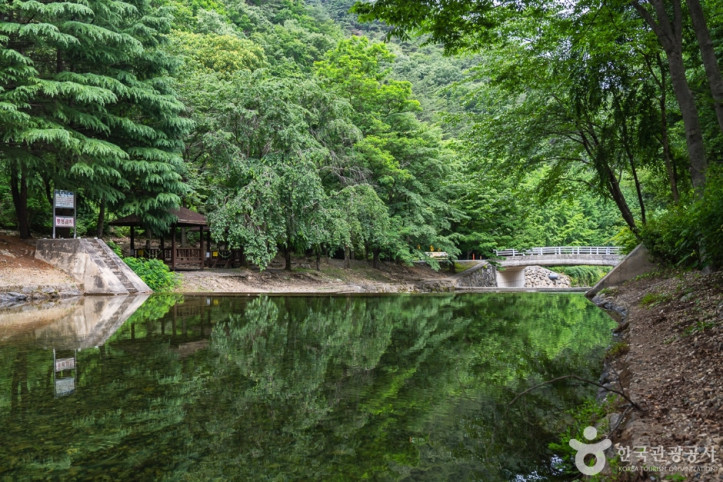 고산자연휴양림 여행 추천 - 메고지고