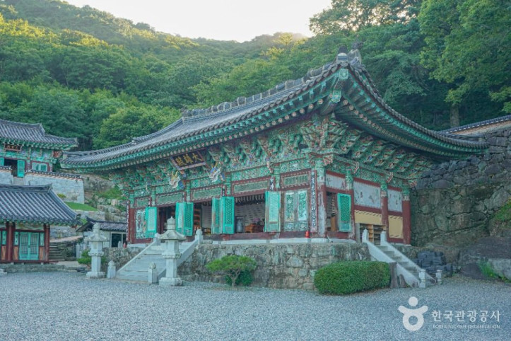 장유사(김해) 여행 추천 - 메고지고