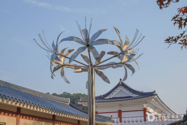 상사화피는마을 여행 추천 - 메고지고