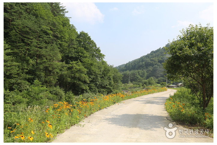 구룡산(강원) 여행 추천 - 메고지고