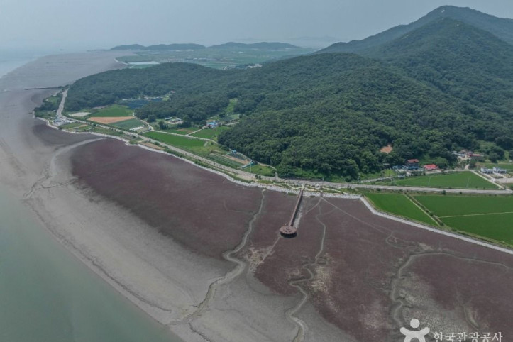 석모도 칠면초 군락지 여행 추천 - 메고지고