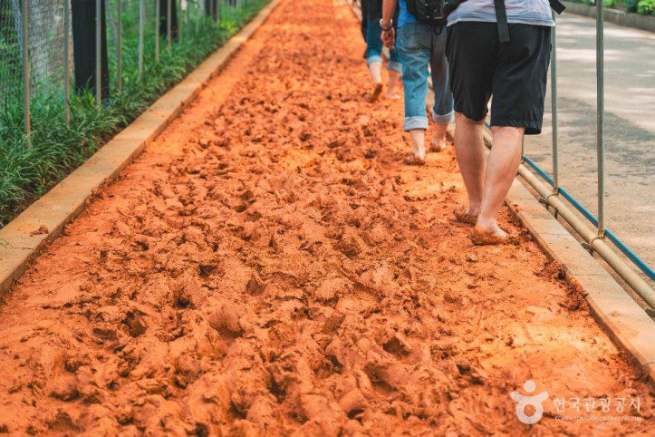 서대문 안산(안산자락길) 여행 추천 - 메고지고