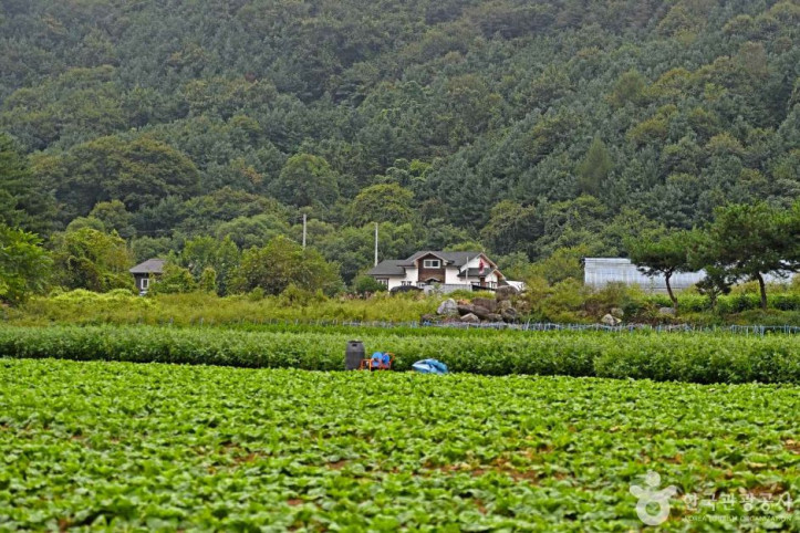 팔봉참살이마을 여행 추천 - 메고지고